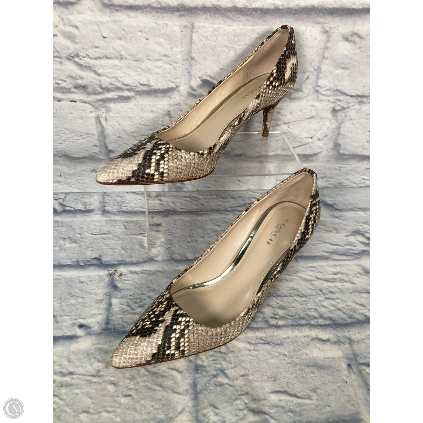 Shoes Designer By Coach In Snakeskin Print, Size: 7.5