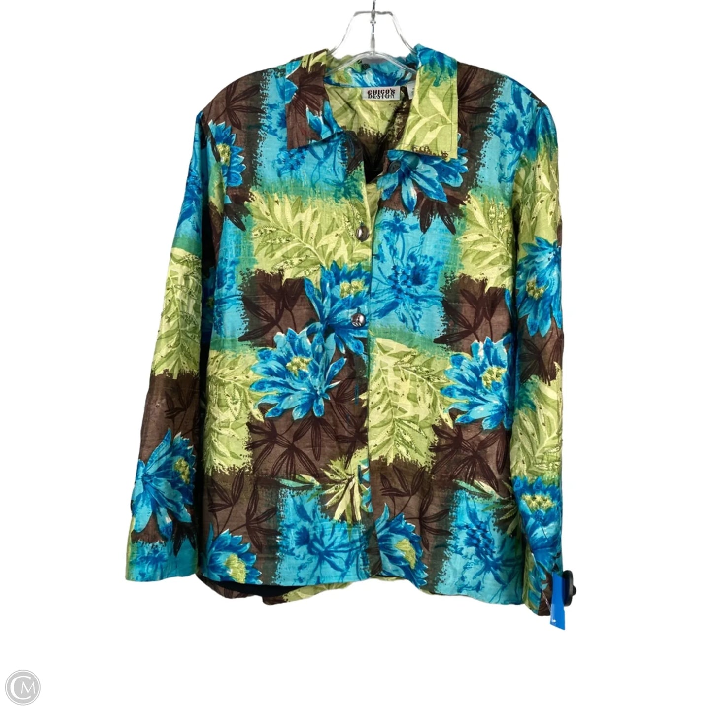 Top Long Sleeve By Chicos In Blue & Brown, Size: Xl