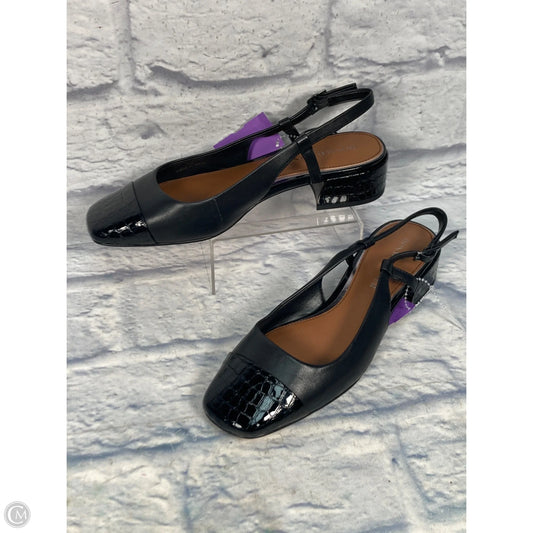Shoes Flats By Donald Pliner In Black, Size: 8.5