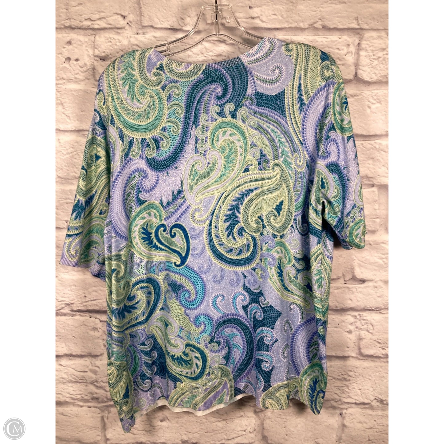 Top Short Sleeve By Chicos In Blue & Green, Size: Xl