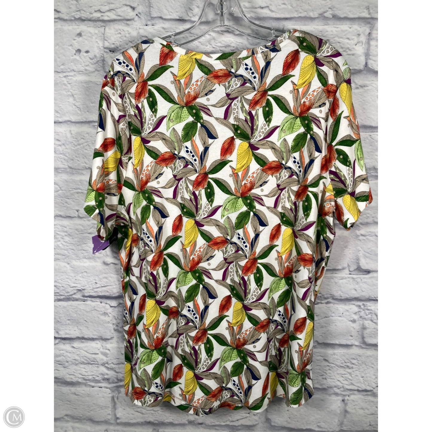 Top Short Sleeve By Chicos In Green & White, Size: Xl
