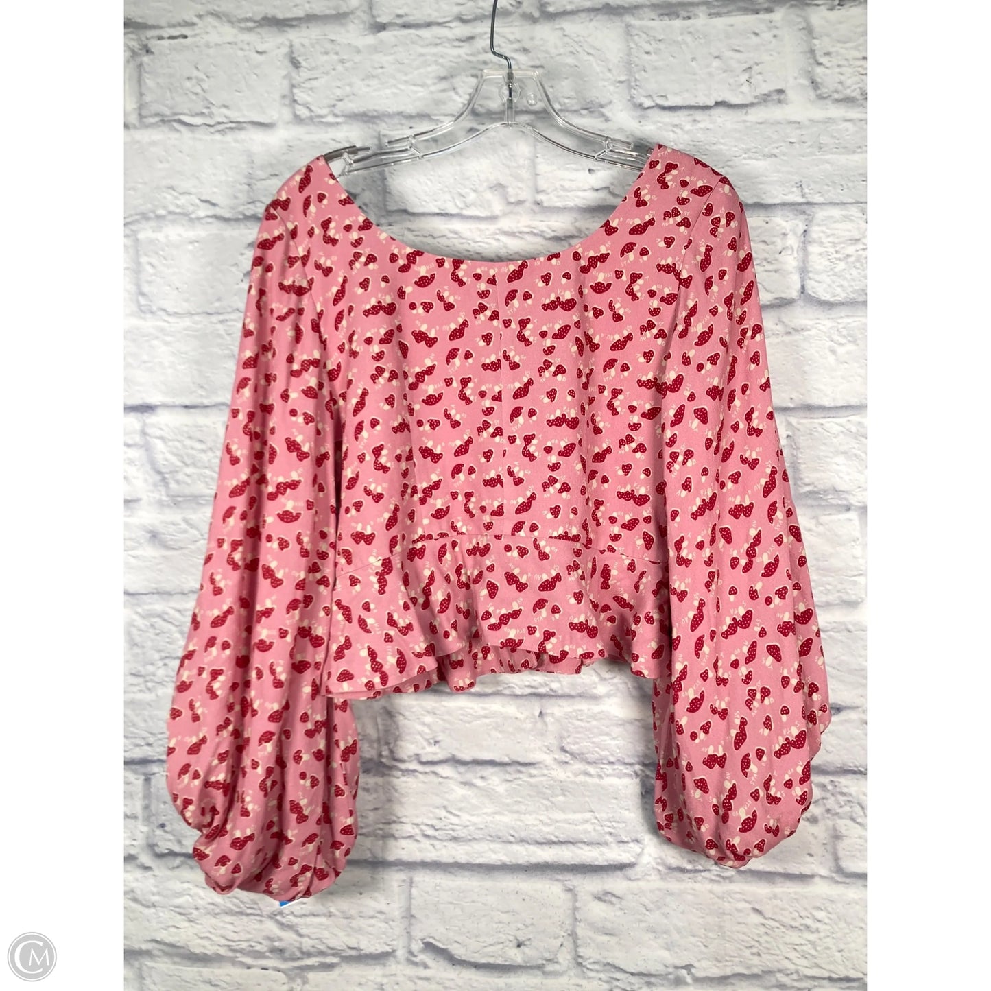 Blouse Long Sleeve By Clothes Mentor In Pink & Red, Size: S