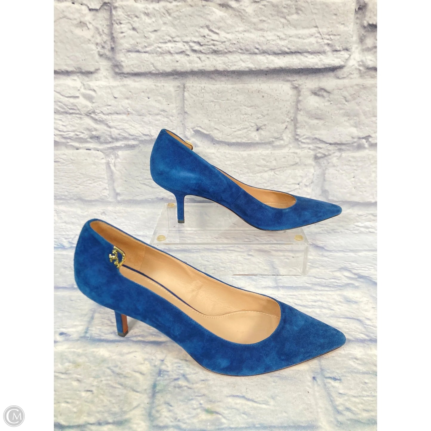 Shoes Designer By Tory Burch In Blue, Size: 9.5