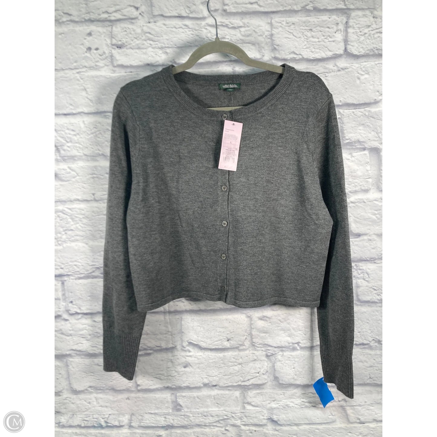 Cardigan By Wild Fable In Grey, Size: M