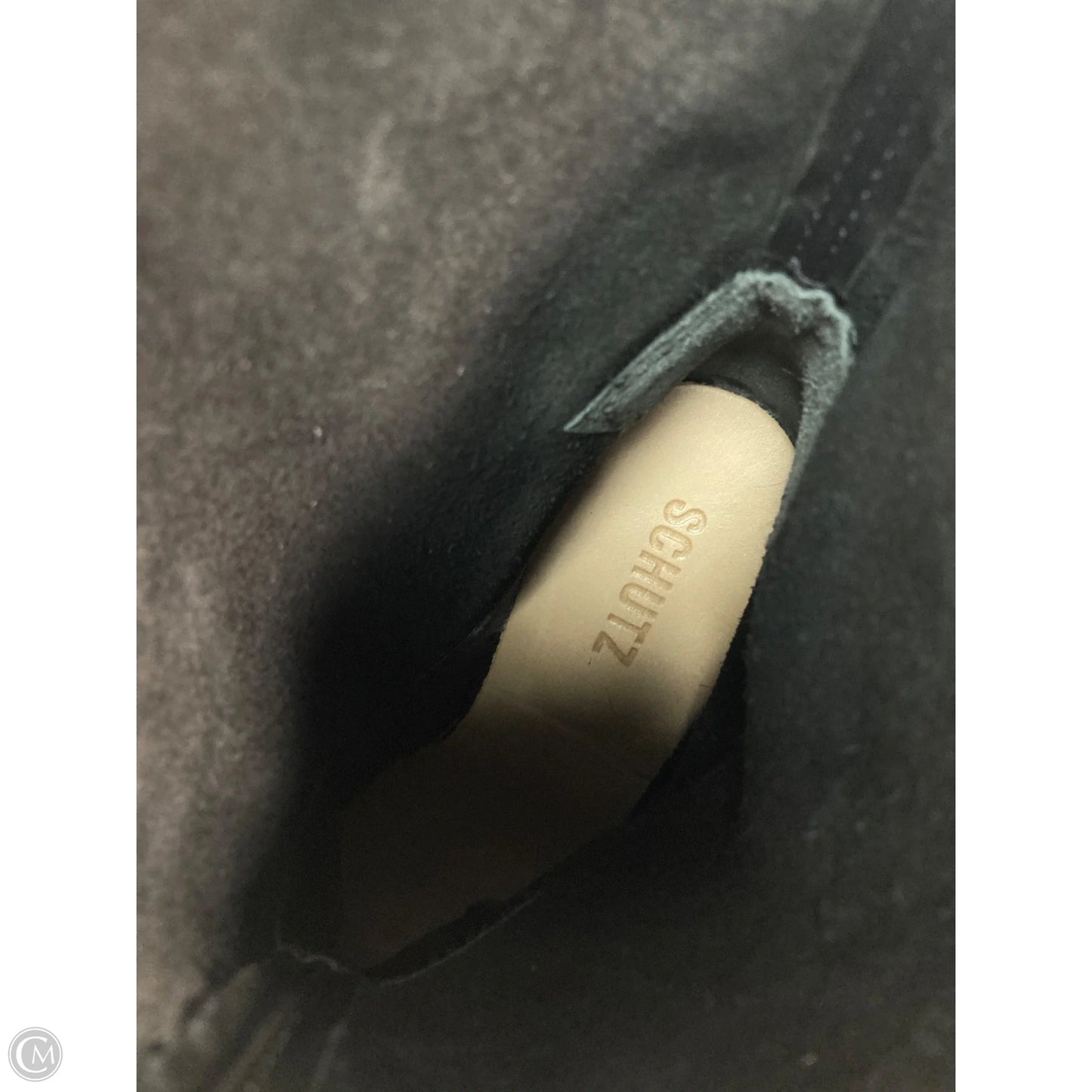 Boots Ankle Heels By Schutz In Black, Size: 7