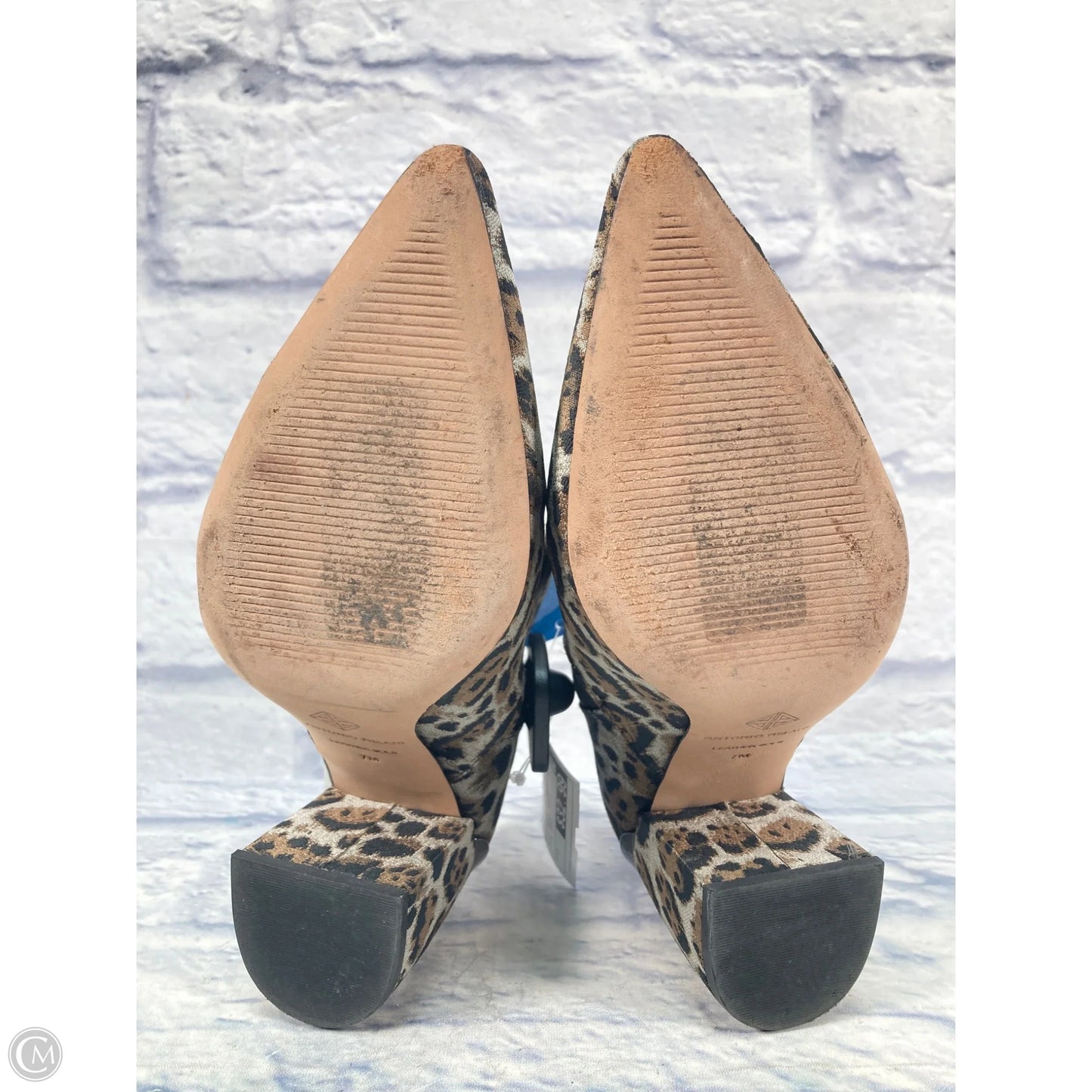 Boots Ankle Heels By Antonio Melani In Animal Print, Size: 7