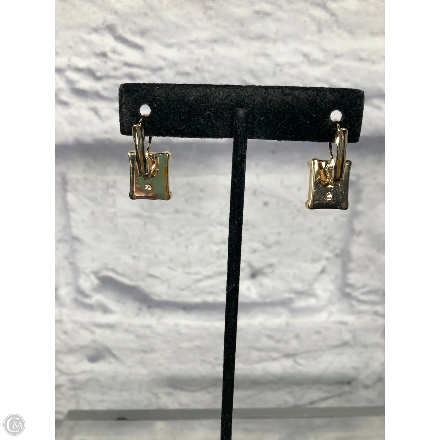 Earrings Hoop By White House Black Market