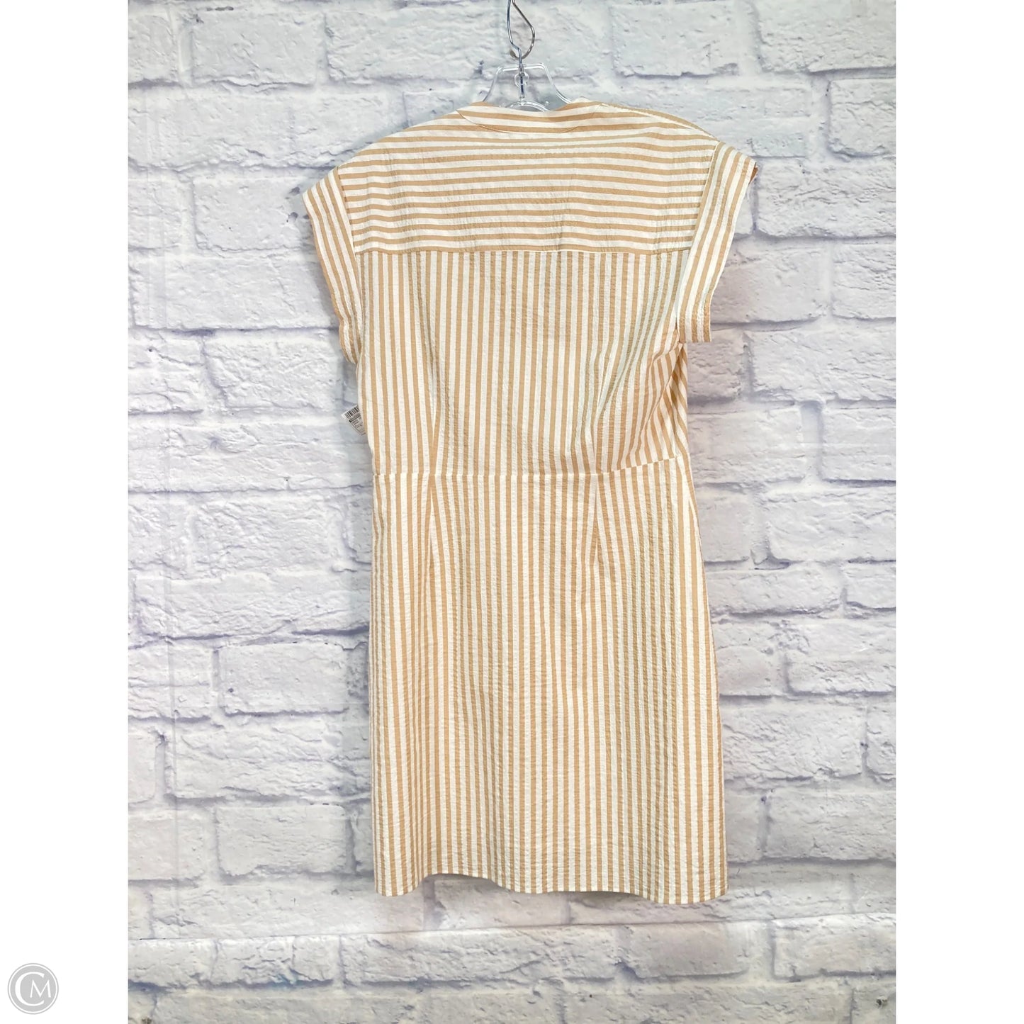 Dress Casual Short By Veronica Beard In Brown, Size: M