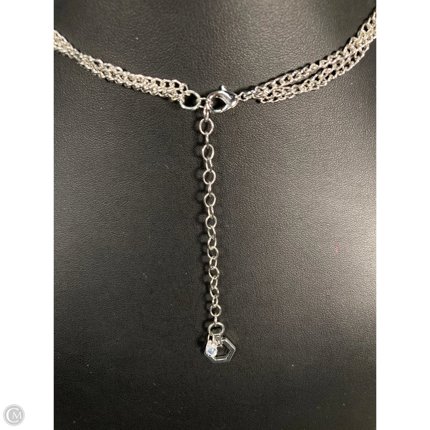 Necklace Layered By Clothes Mentor