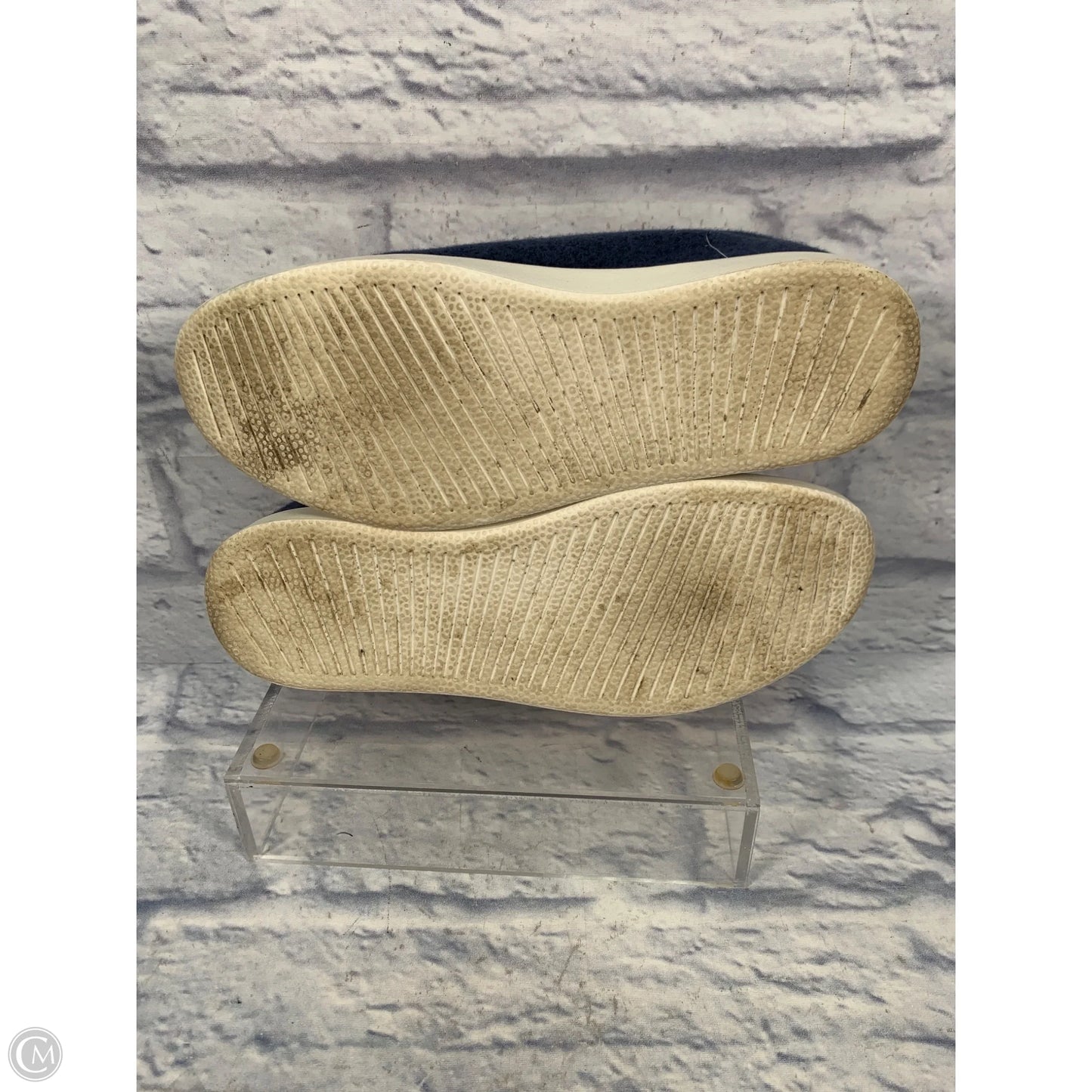 Shoes Sneakers By Allbirds In Blue, Size: 9
