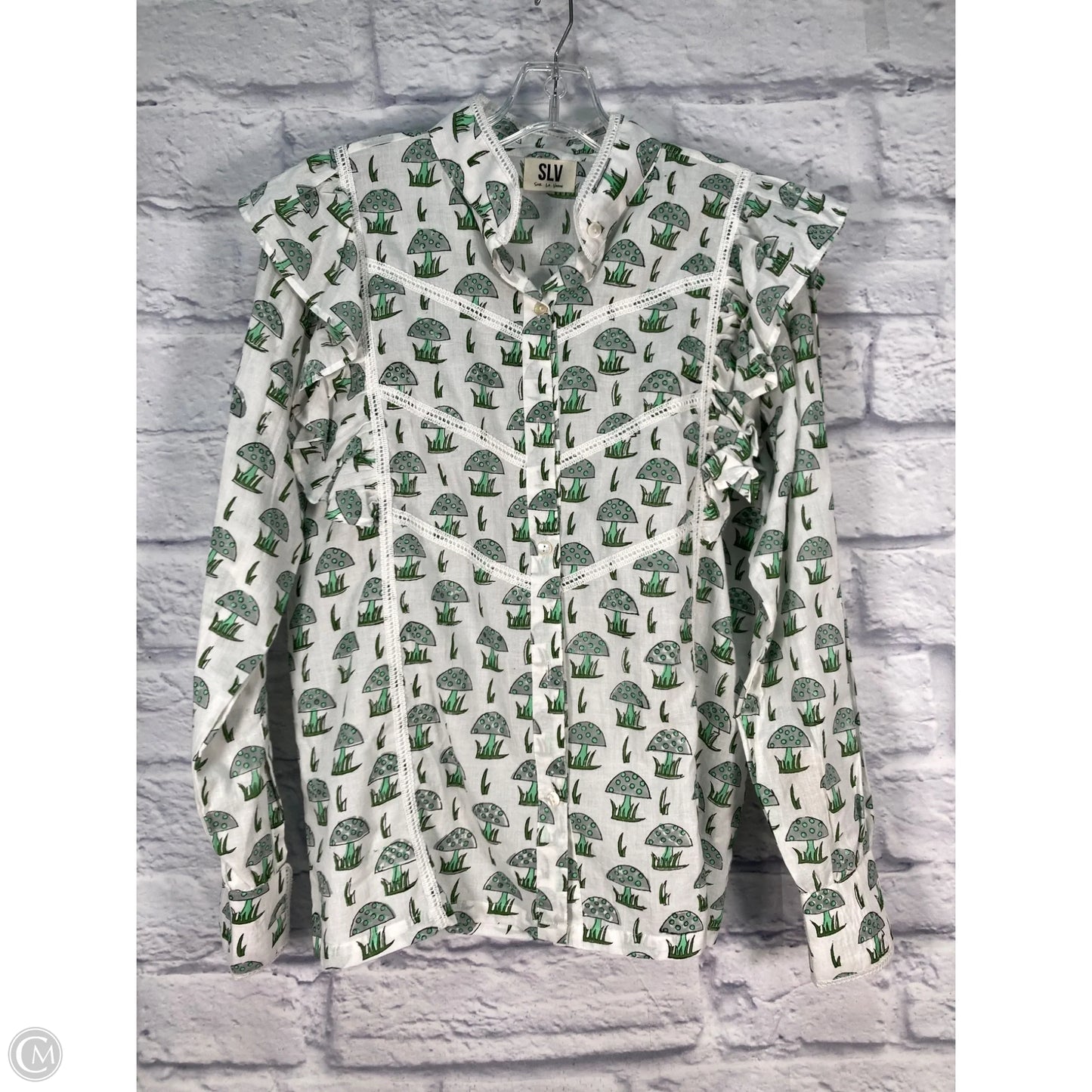 Blouse Long Sleeve By Clothes Mentor In Green & White, Size: M